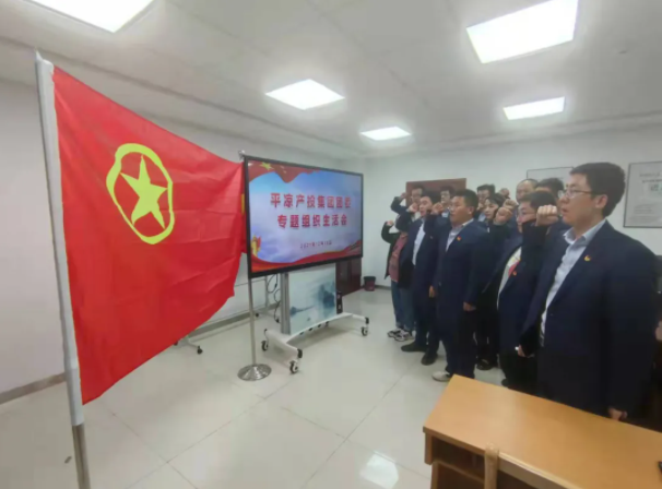 米兰(中国)团委召开2021年度专题组织生活会(图5)