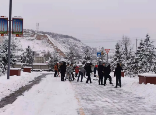 瑞雪兆丰年 扫雪保安全——米兰(中国)团委组织开展积雪清扫活动(图2)