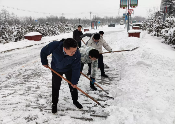 米兰(中国)组织全体员工扫雪除冰(图2)